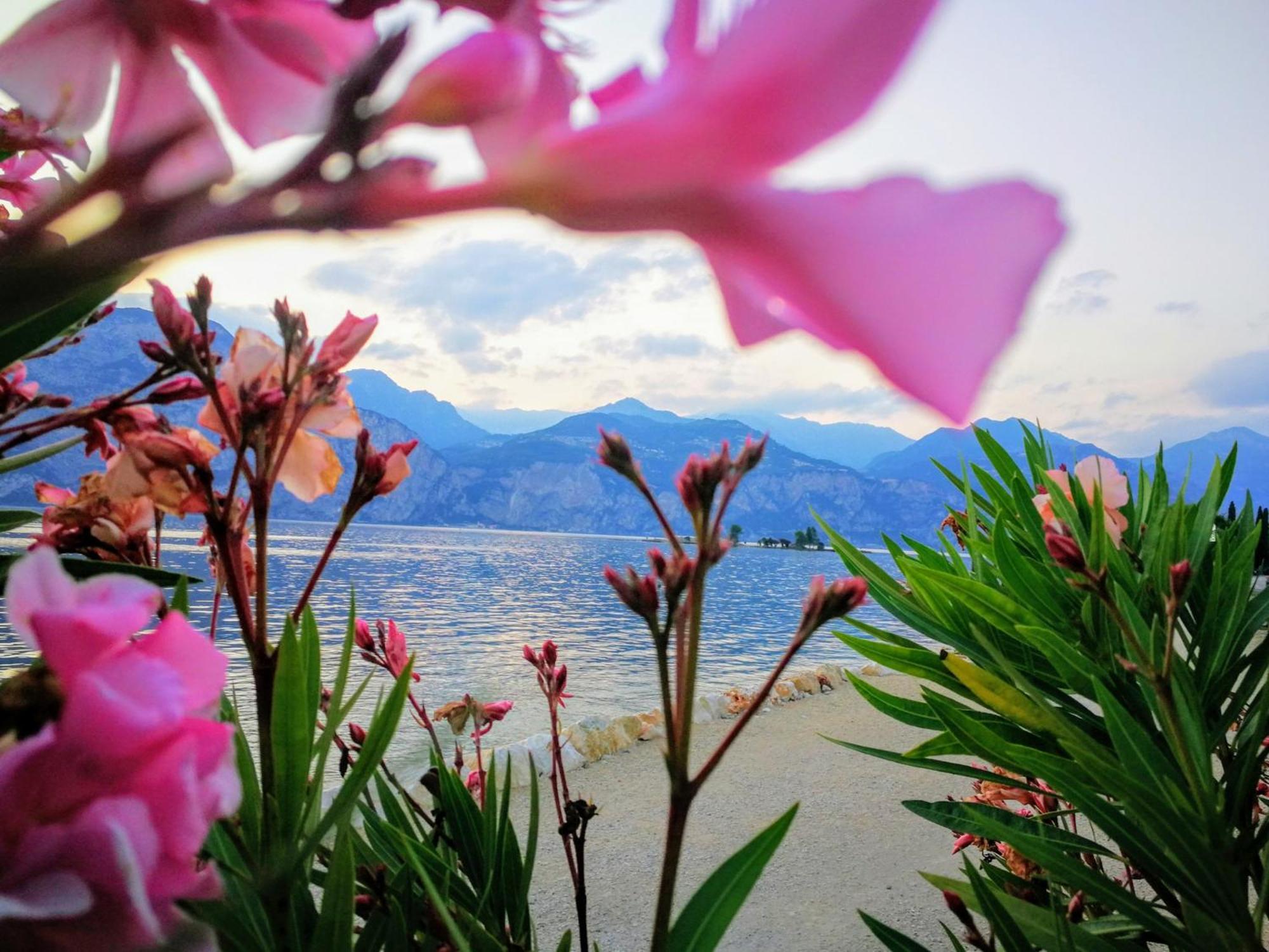 Hotel Drago - Garda Lake Collection เบรนโซเน ซูล การ์ดา ภายนอก รูปภาพ